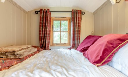 1 Bed in East Down 4