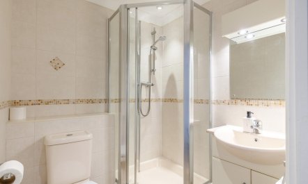 4 Bed in Newquay 6