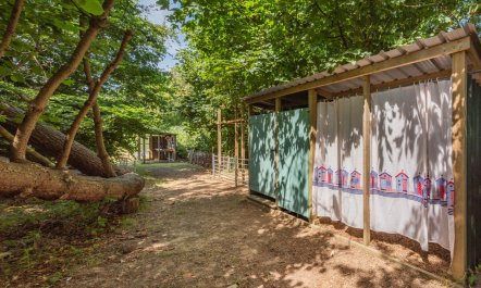1 Bed in Ninfield 8