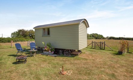 1 Bed in Ninfield 5