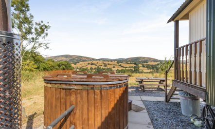 1 Bed in Llanrhaeadr Ym Mochnant 3