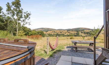 1 Bed in Llanrhaeadr Ym Mochnant 4