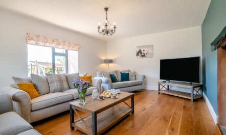 5 Bed in Wellington 2