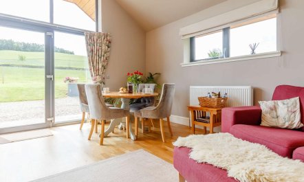 1 Bed in Perth 5