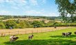 1 Bed in Holsworthy 4