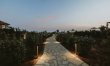 Ionian Stone 6