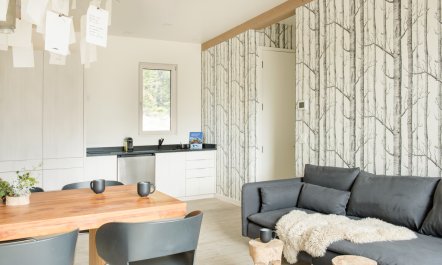 Pine & Place 8