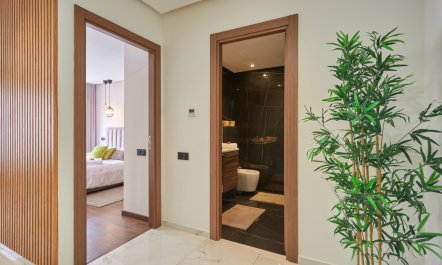 Place to Dream 4