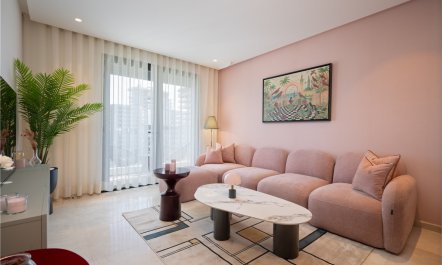 Rose Light Casablanca 1