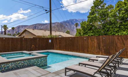 Palm Springs Pause 2