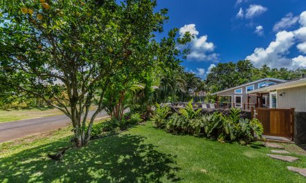 Hanalei in Bloom 6