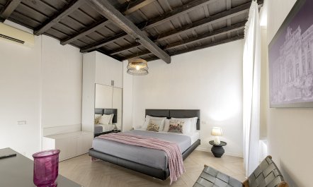 Beams Over Trastevere 9