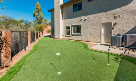 Twelve Green Dreams 7