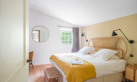 Sainte Baume in Bloom 8