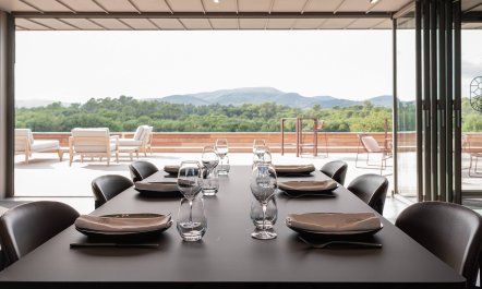 Sainte Baume in Bloom 6