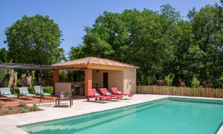 Sainte Baume in Bloom 3