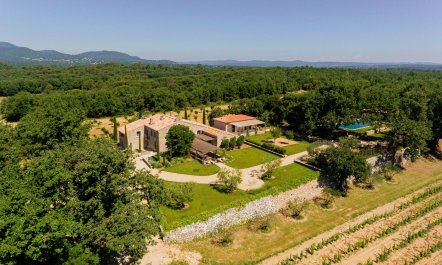 Sainte Baume in Bloom