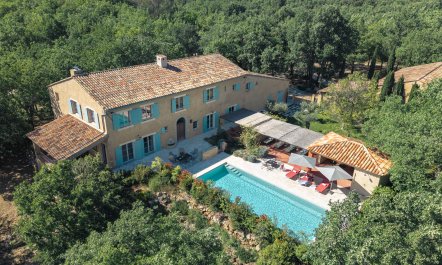 Sainte Baume in Bloom
