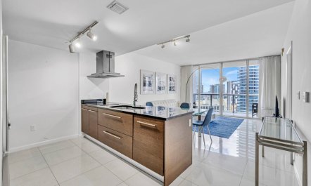 Miami Skyline Vistas 5