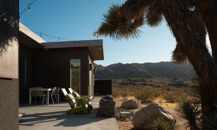 Tree & Tub 3