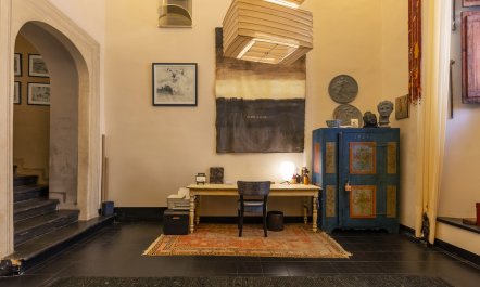 Cabinets of Curiosity 8