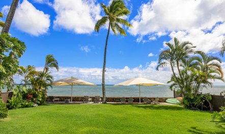 Maunalua Reverie 6