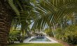 Palm & Pinball 4