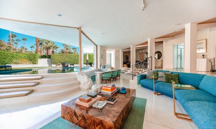 Palm Springs Icon 1