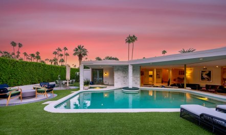 Palm Springs Icon