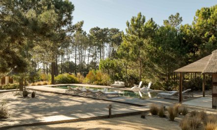 Pines and Paddies 9