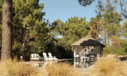 Pines and Paddies 8