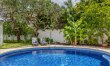 Plumeria Breeze 2