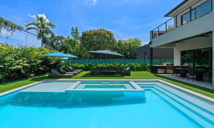Plunge & Palms 4