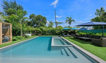Plunge & Palms 3