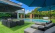 Plunge & Palms 6