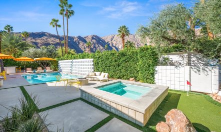 Palm Springs Calm 5