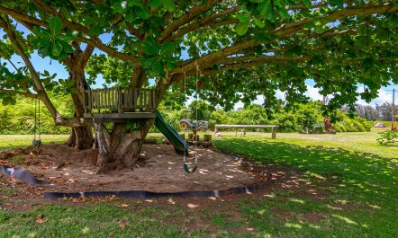 Koolau Calm 4