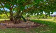 Koolau Calm 4