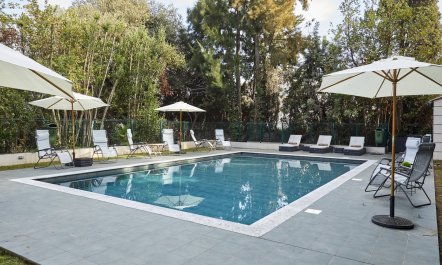Croisette Palms 1