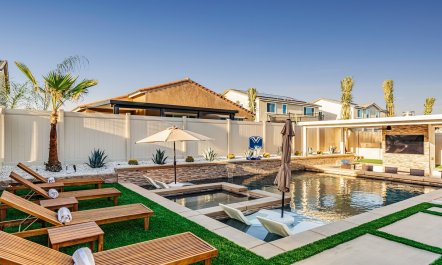 Pool Under the Palms 1