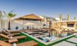 Pool Under the Palms 1