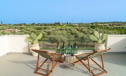Olive Dusk 4