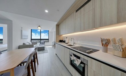 Elevated Miami 6