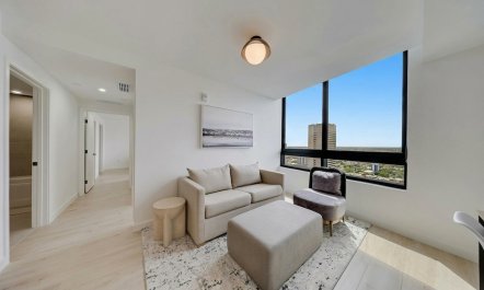 Elevated Miami