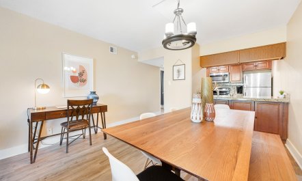 Scottsdale Starlight 5