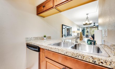 Scottsdale Starlight 7