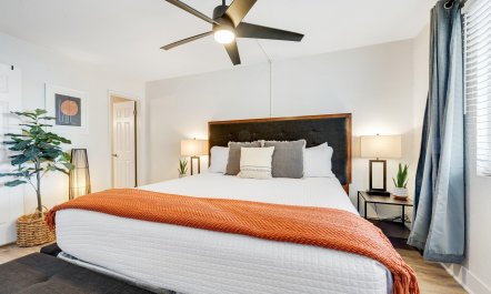 Scottsdale Starlight 9