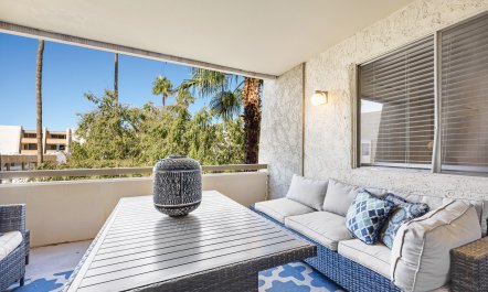 Scottsdale Starlight