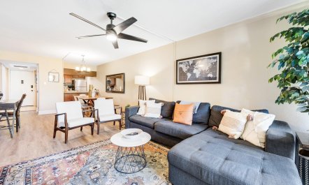 Scottsdale Starlight 3