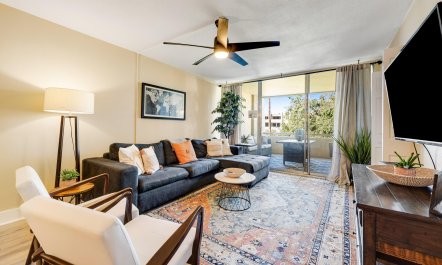 Scottsdale Starlight 1